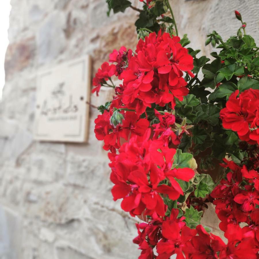 Aristidis'S Plouti Moires Exterior foto